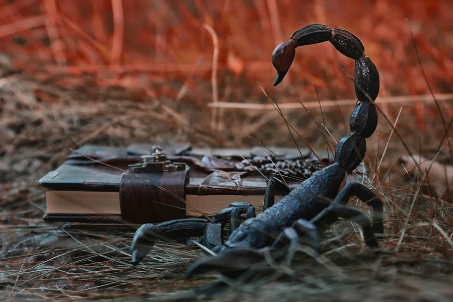 Scorpion Symbolism