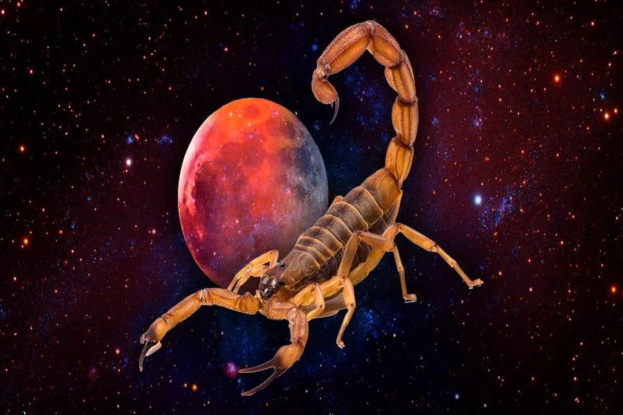 Scorpion Symbolism