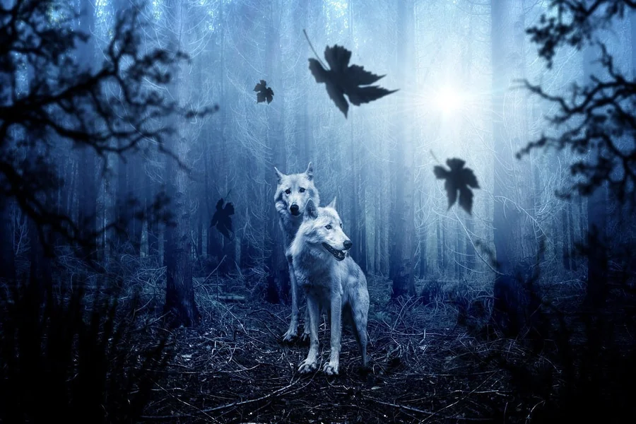 Wolf Spirit Animal Meaning