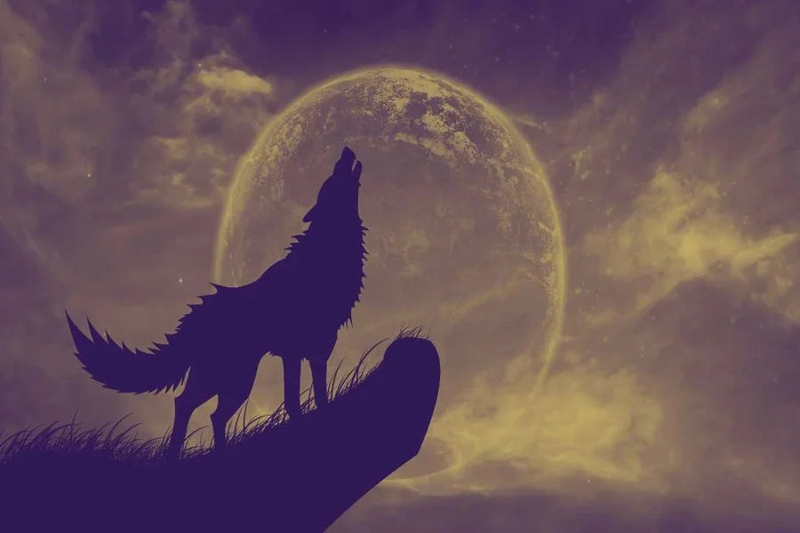 Wolf Spirit Animal Meaning
