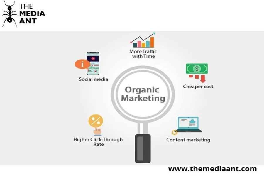 Organic Marketing