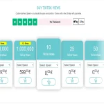 Buy TikTok Views